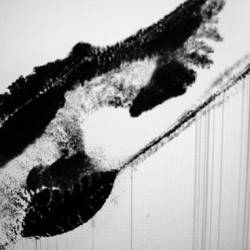 Language of the Night